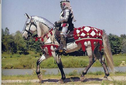 Spanish-Norman Horse